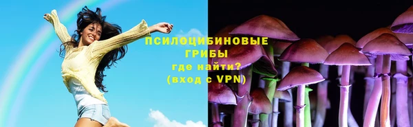 твердый Осташков