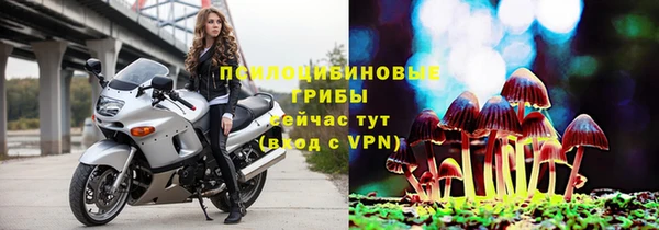 mix Осинники