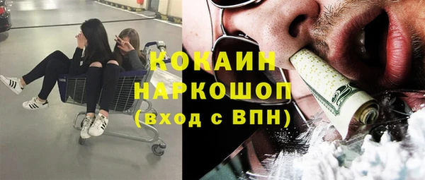 твердый Осташков