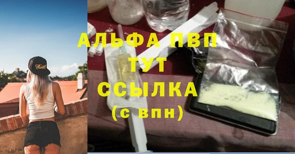твердый Осташков