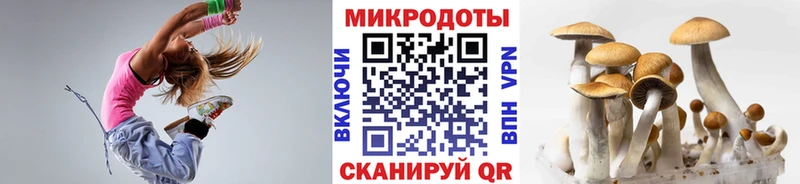 это какой сайт  Камбарка  Псилоцибиновые грибы Magic Shrooms 